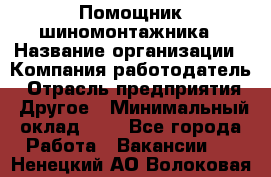 Помощник шиномонтажника › Название организации ­ Компания-работодатель › Отрасль предприятия ­ Другое › Минимальный оклад ­ 1 - Все города Работа » Вакансии   . Ненецкий АО,Волоковая д.